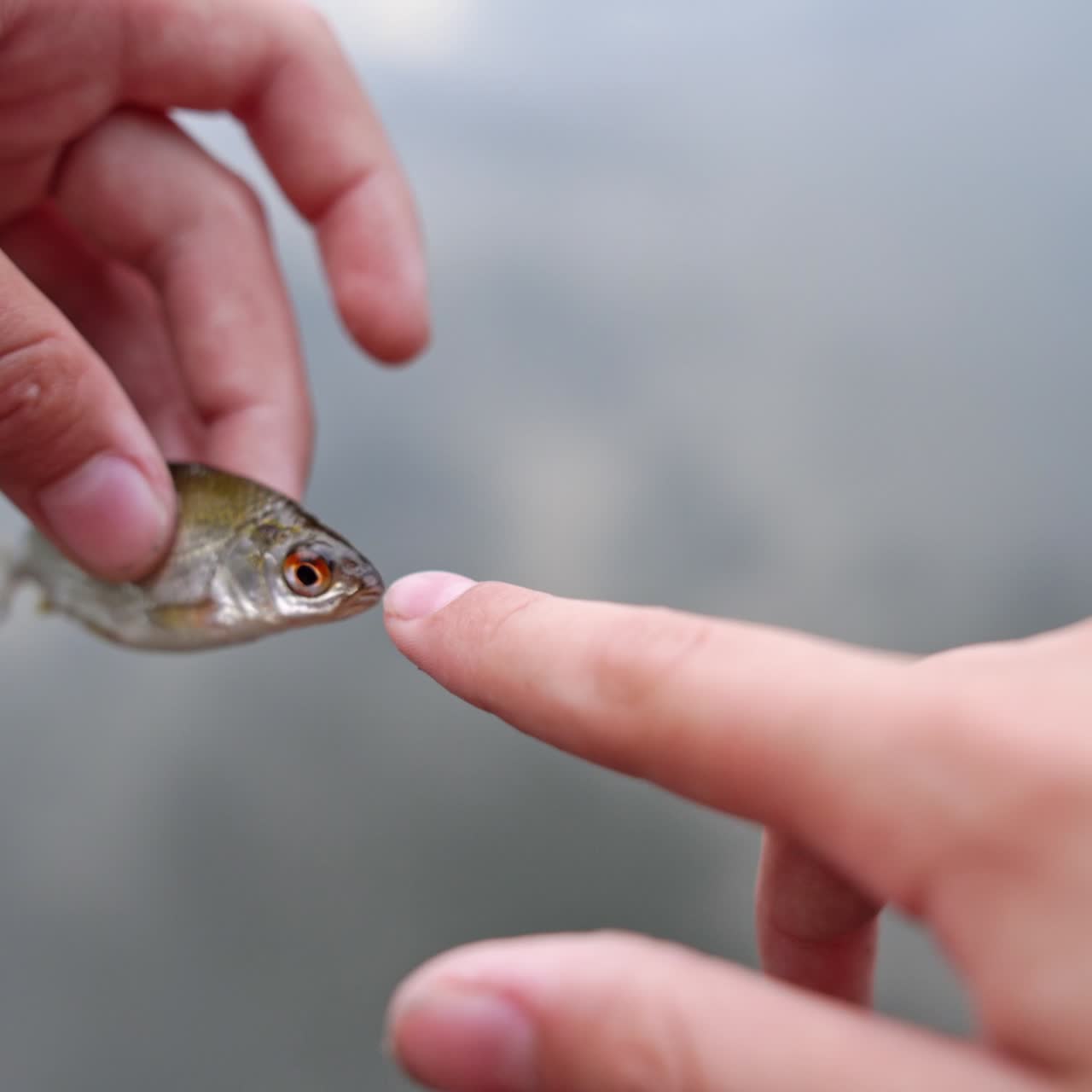 Woman with fish against water