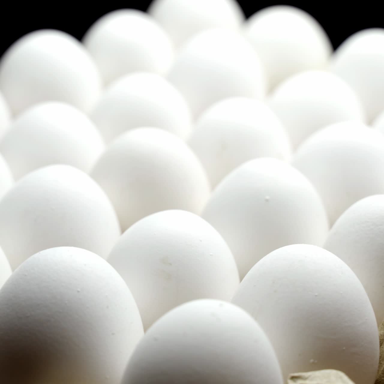 White chicken eggs in a cardboard box. Eggs in the container