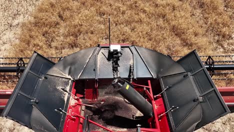 step into the world of cutting-edge machinery during a large-scale canola harvesting operation