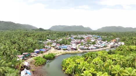 Birds eye view to remote village in palm tree plantation, Siargao, Philippines.