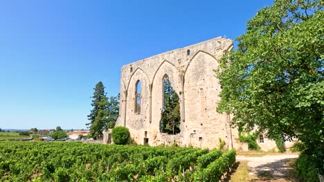 vineyard with historic ruins under clear blue sky