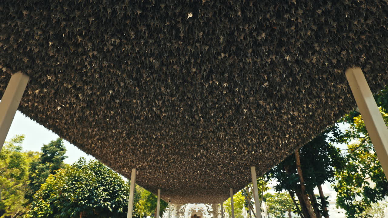 Ceiling covered in leaves