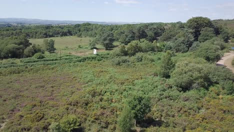 Flying-over-country-road-and-heathland,-Woodbury-Common,-Devon,-UK