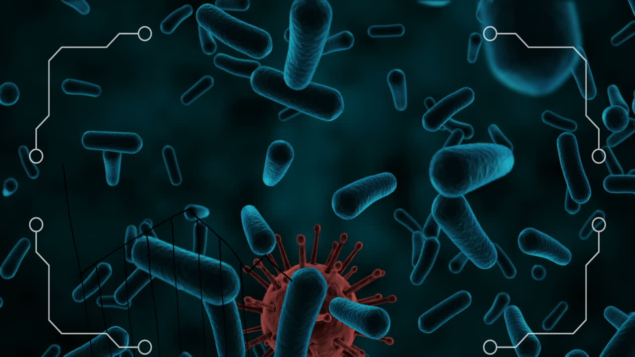 animación del procesamiento de datos sobre las células del virus