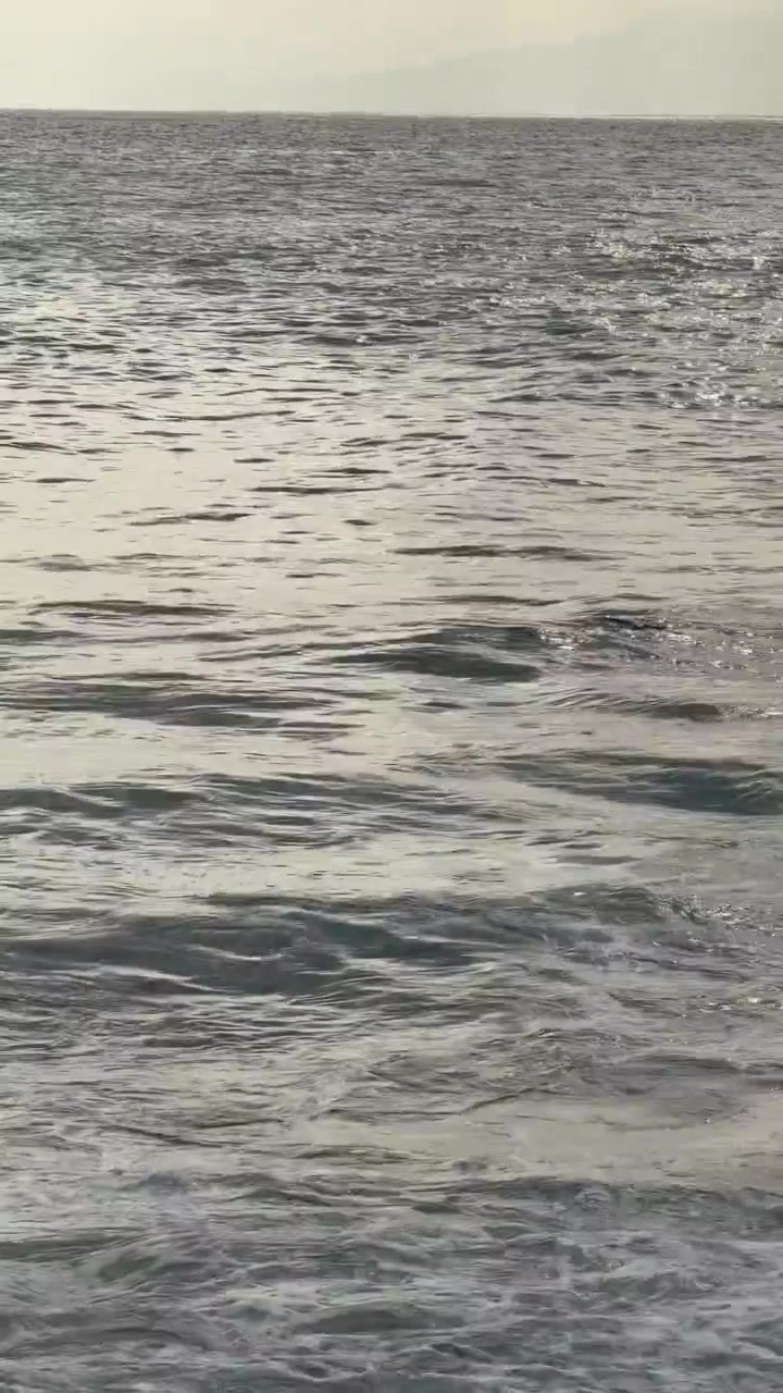 Gentle Ocean Waves Rolling Toward the Shore at Sunset
