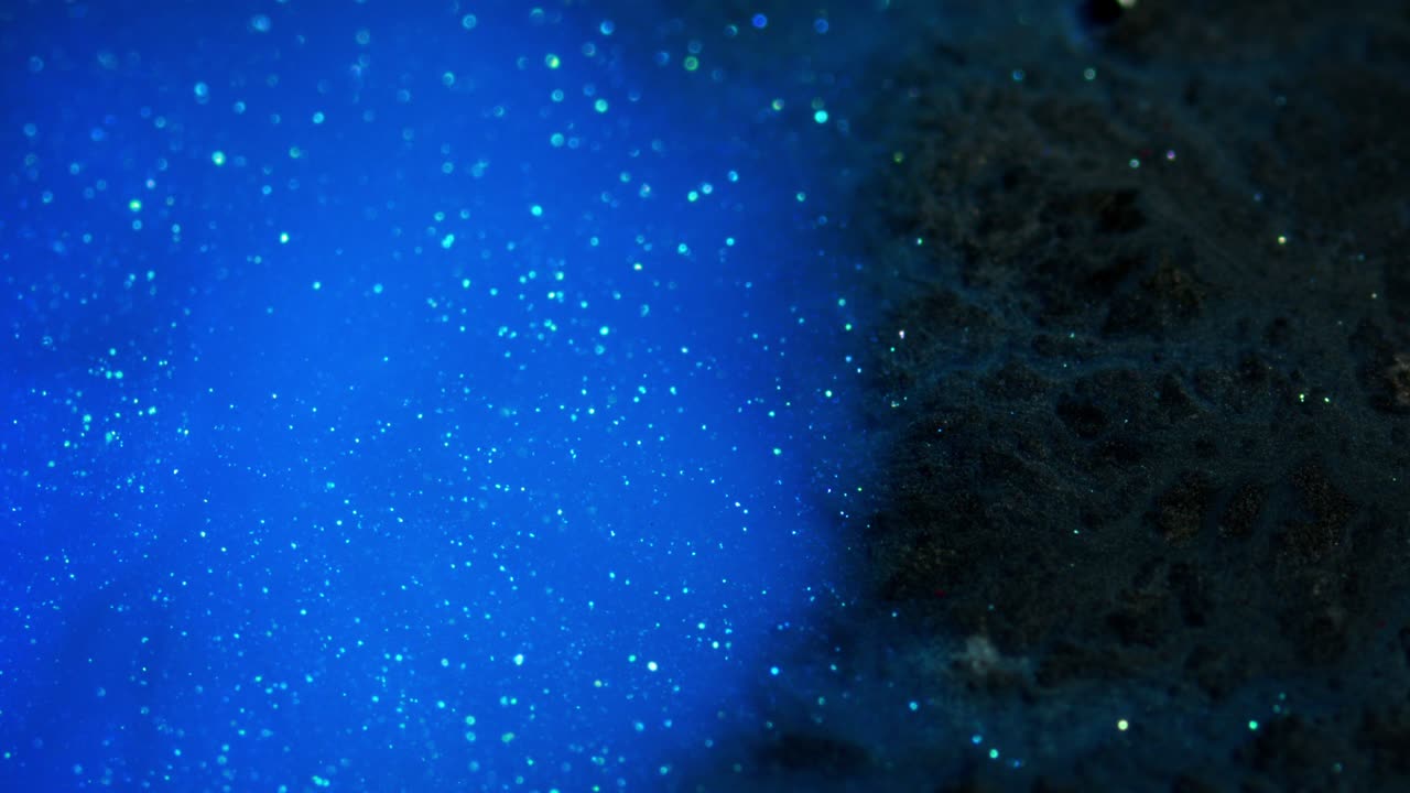 imágenes de pintura de arte fluido. textura acrílica de moda con efecto de flujo. líquido.