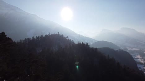 Zwischen-Den-Bäumen-Der-Nebligen-Sonne-Entgegen,-In-Den-Schneebedeckten-Berner-Alpen