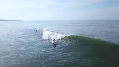 surfer making big turns on a brownish wave after rain in balian, bali, indonesia