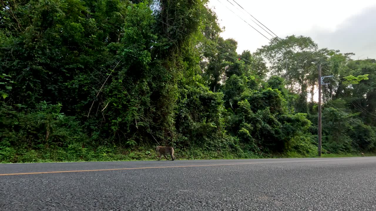 모터사이클이 지나갈 때 원이가 길을 건너고