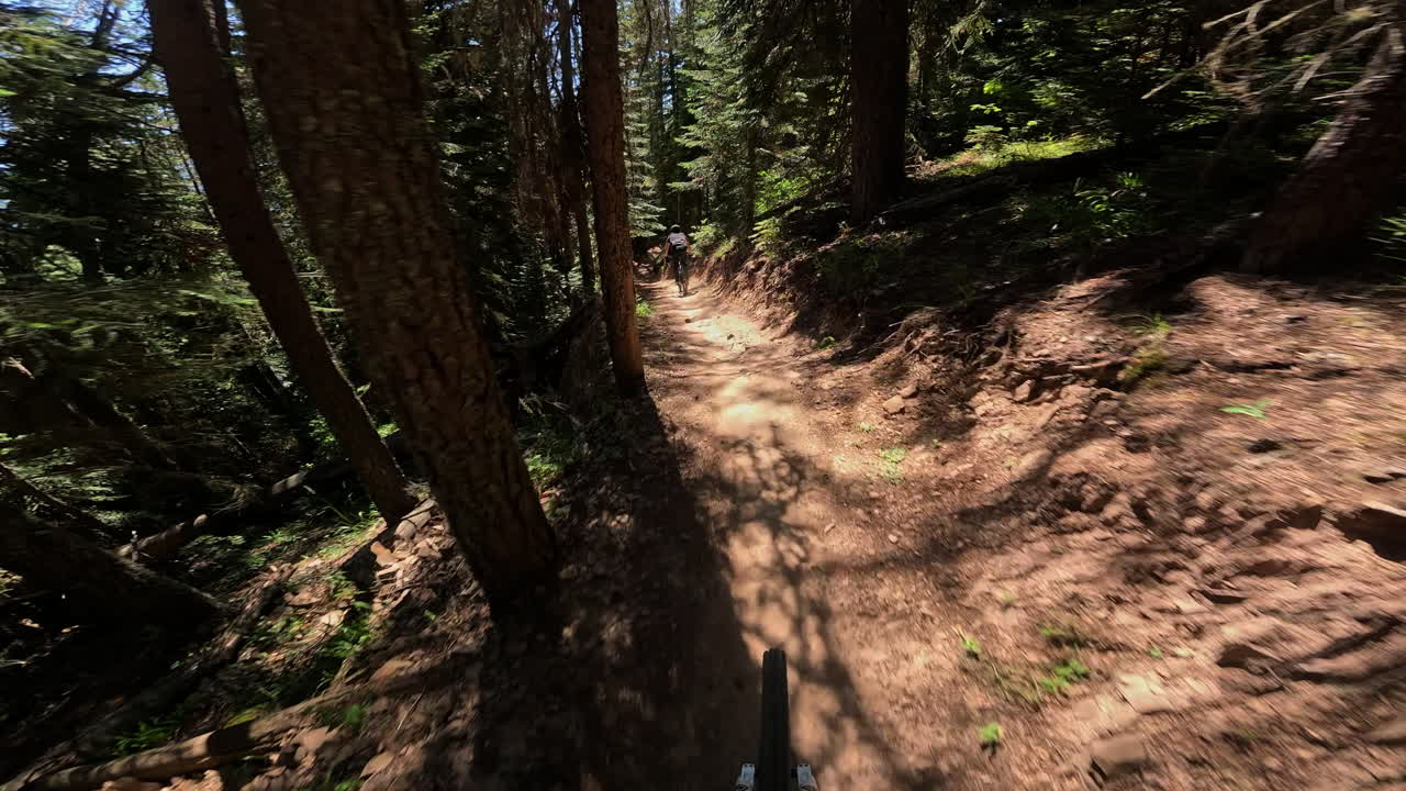 First Person View of Mountain Biking Downhill Through a Sunny Forest Trail