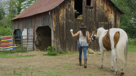 confident and stylish young rider walks her pinto horse back to the horse barn