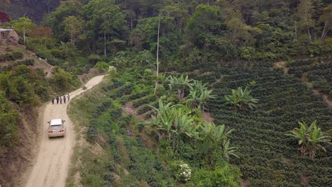 plantación de café en la selva montañosa boliviana