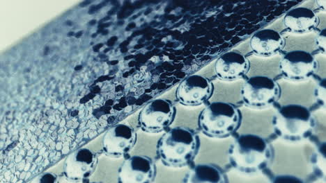 microscopic image of a patterned surface