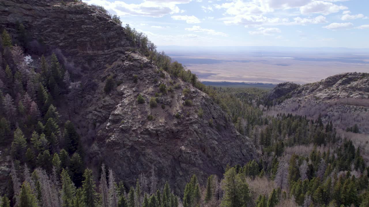 hermosas montañas verdes de colorado con árboles