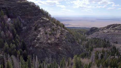 beautiful green colorado mountains with trees