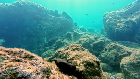 pov filmó la vida acuática bajo el mar turquesa en grecia.