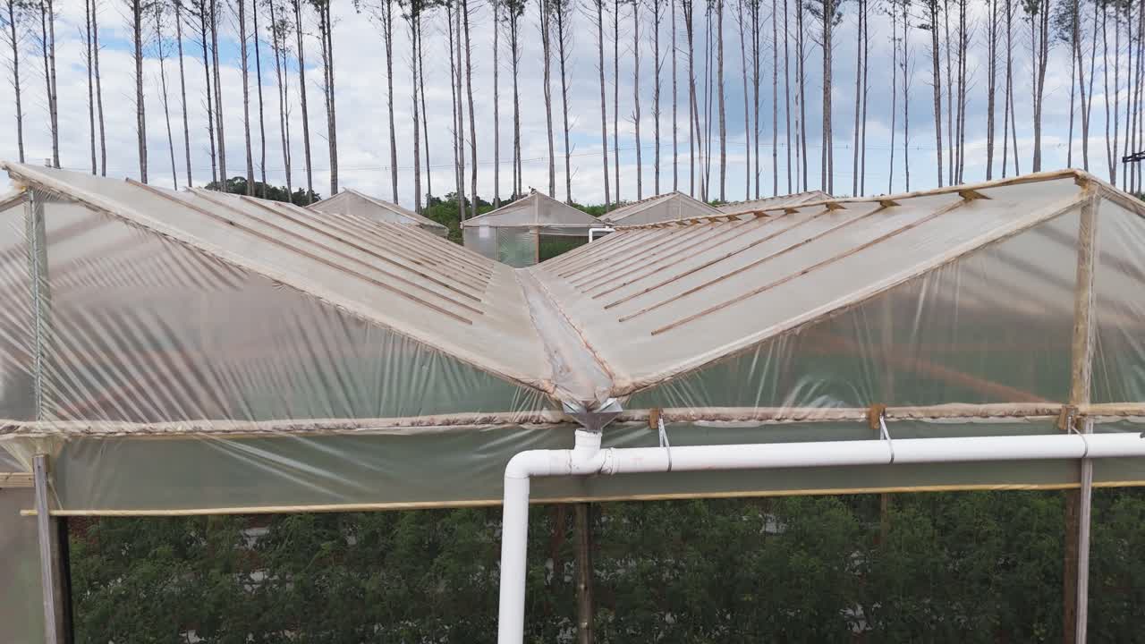 vista aérea de varios invernaderos en fila en un entorno hortícola