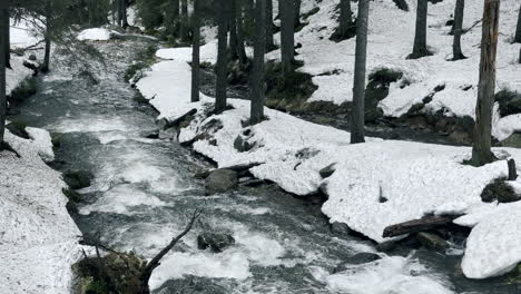 clear water texture in steam. fast water flow with snowy river banks in forest.