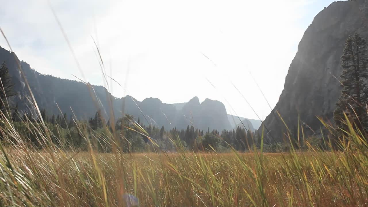 un campo de hierba escénico