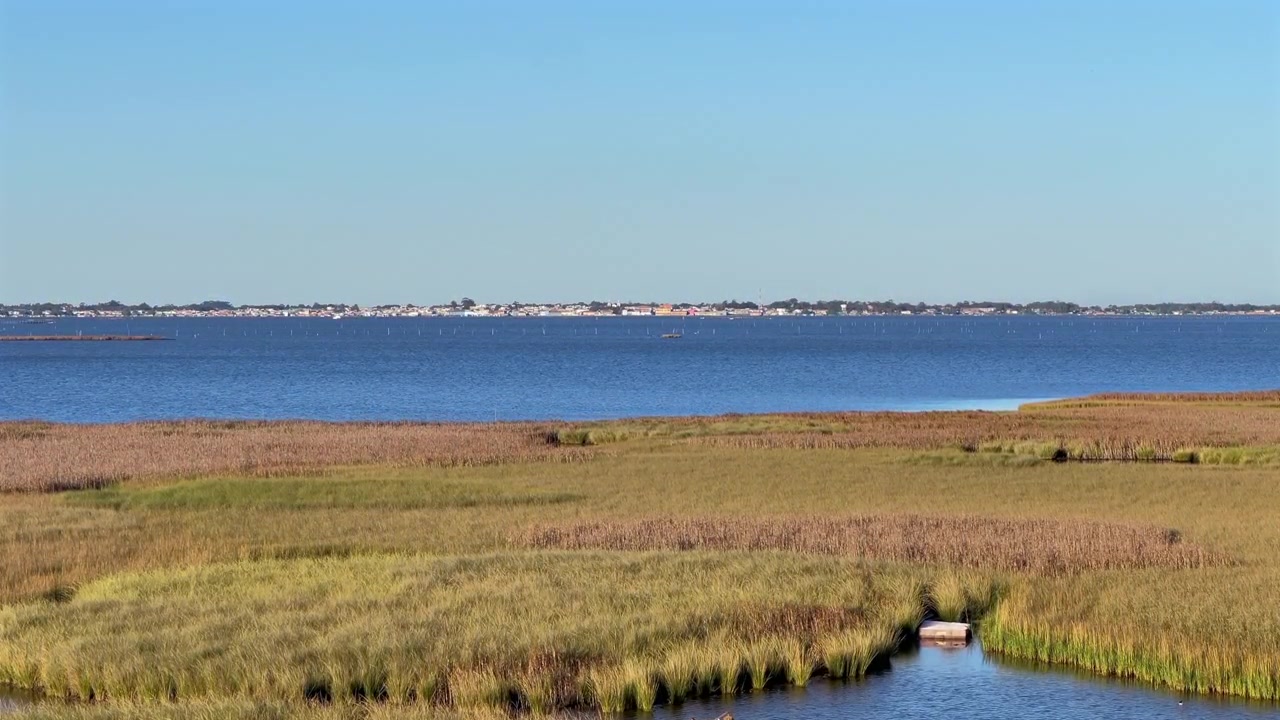 Vista statica diurna della palude di Ilha da Polvora sulla Lagoa dos Patos con la città di São José do Norte in lontananza