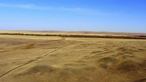 autumnal steppe landscape from above