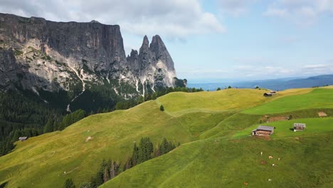 beautiful green alp in the mountains with a blue sky, green trees and a big mountain in the background, dolomites, italy, europe, drone