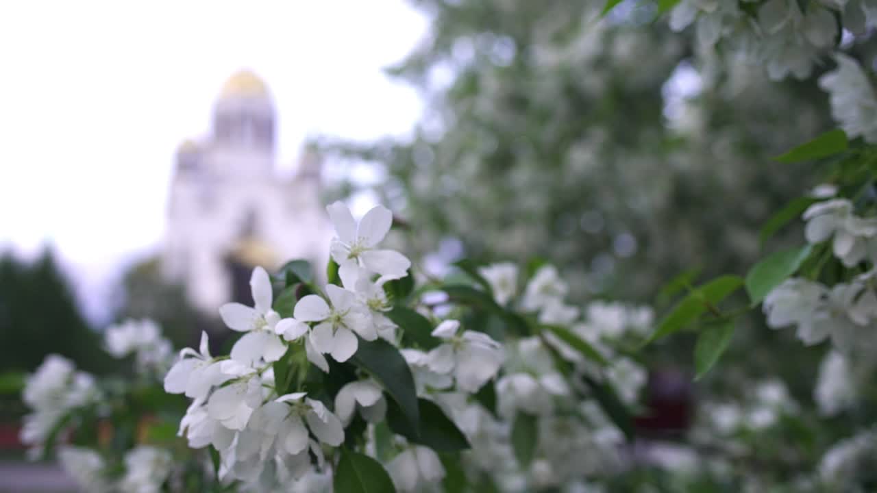 primavera en la ciudad con una iglesia en el fondo