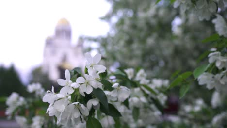 springtime in the city with a church in the background