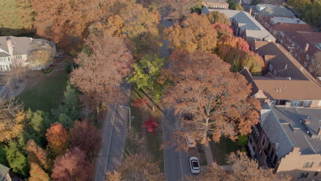 Flyover-beautiful-Wydown-boulevard-in-Clayton-in-St