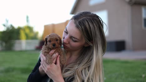 woman pet owner loving newborn baby golden doodle puppy dog