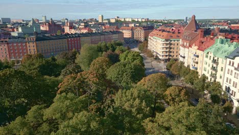 Tree-canopies-in-central-city-park