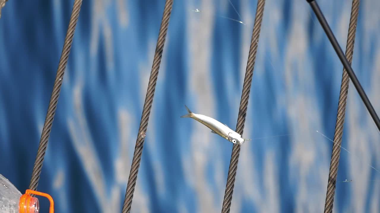 Fish caught on a fishing line near a waterfall