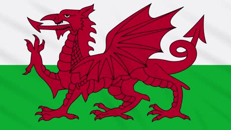 wales flag waving cloth background, loop