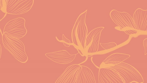 animation of flowers on orange background