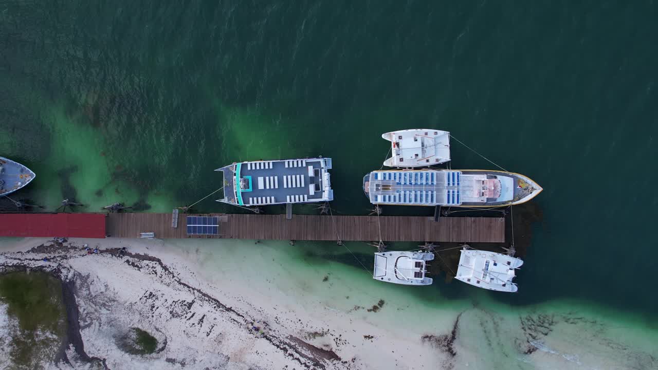 drone aéreo de ojo de pájaro sobre barcos de lujo en el puerto de cancún océano azul, 4k méxico