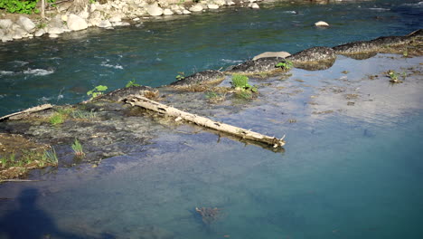 blue pond with shadow of people reflected in the water and a rocky stream flowing water in the background  in hokkaido shirogane japan