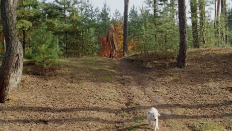 a middle-aged woman walks with a dog in the autumn forest