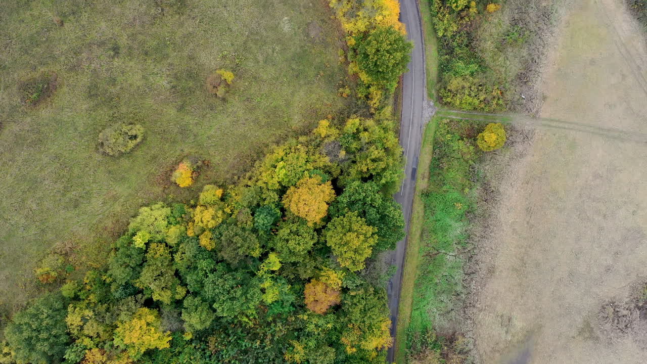 조감도 도로 및 자연