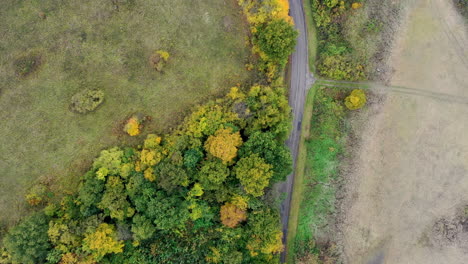 vista aérea carretera y naturaleza