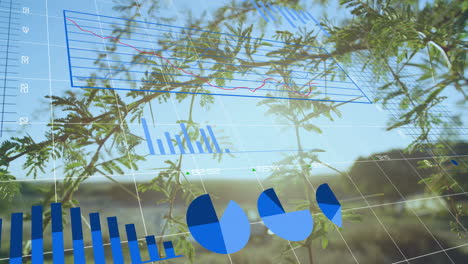 animación del procesamiento de datos financieros sobre el paisaje