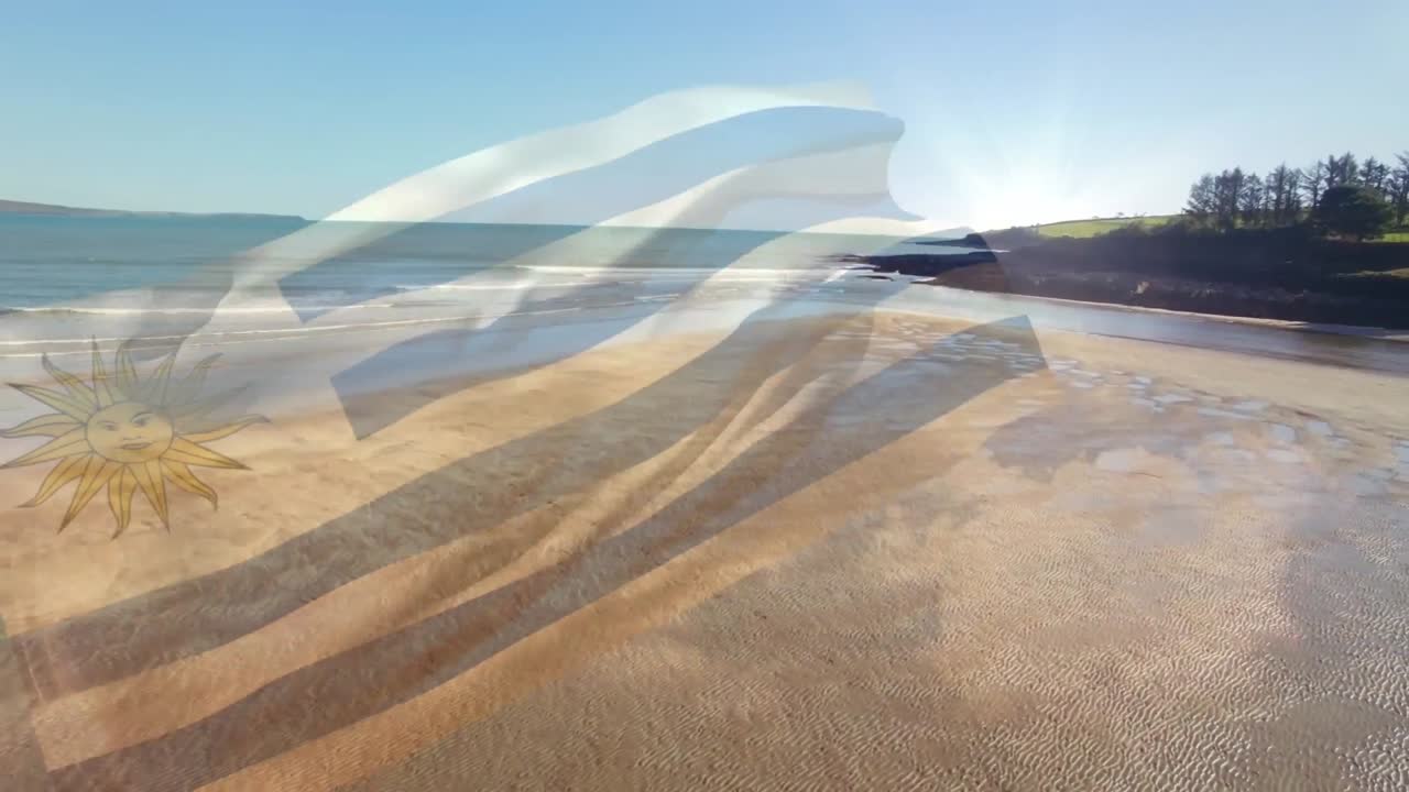 우루과이의  ⁇ 발이  ⁇ 빛이 넘치는 해변과 바다 위에서 날아다니는 애니메이션