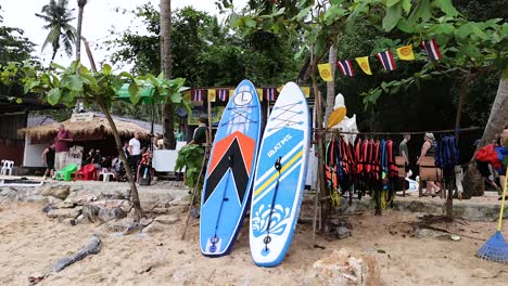 people preparing for kayaking on a beach