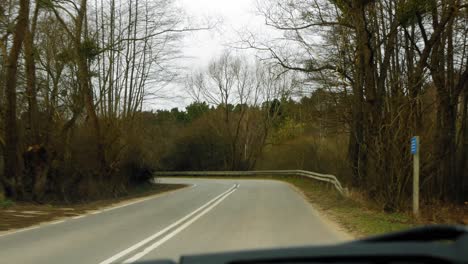 an asphalt road surrounded by bare trees captured from a moving car