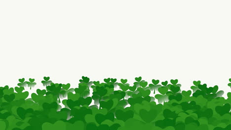 Motion-green-shamrocks-with-Saint-Patrick-Day-31