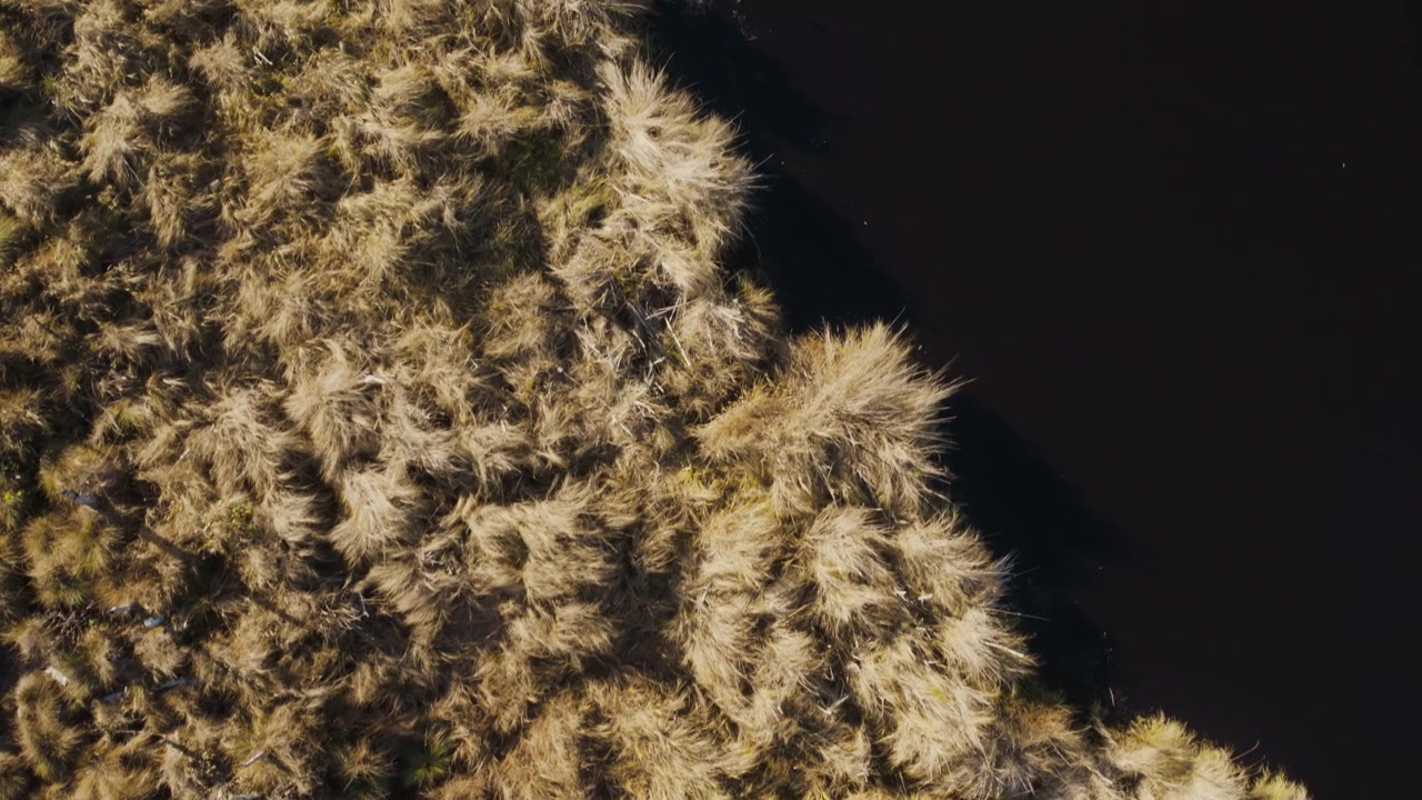 Vue aérienne d'une prairie sèche bordant un lac sombre