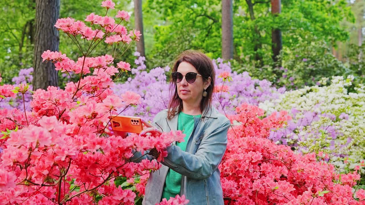 Middle-aged woman records lush blooming rhododendrons in fantasy spring forest
