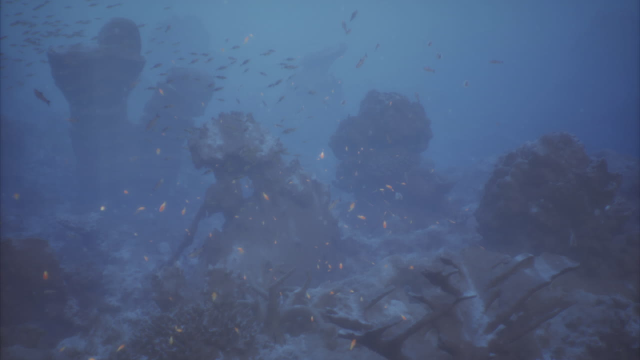 Exploring vibrant underwater landscapes filled with diverse marine life