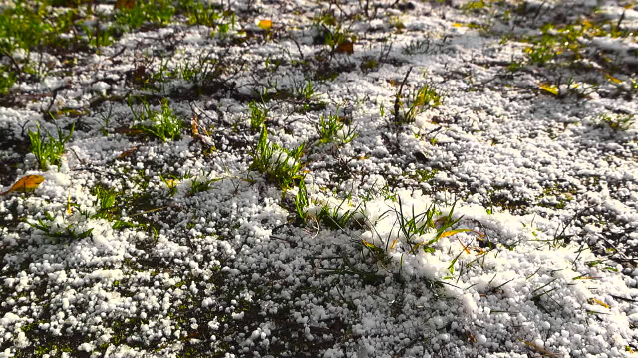 Footage gliding over fresh white snow or hale on a sunny garden muddy ground with green grass visible in between the large snow flakes and hale balls. Shallow depth of field