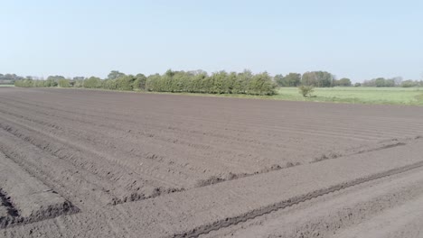 aerial drone view rows of fertile british agricultural rich soil furrow countryside low dolly left