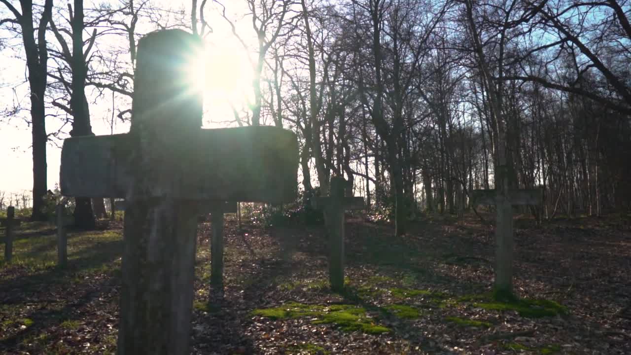 Solbeskinnede kirkegårdskors i en skov